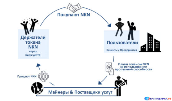 Движение средств в сети NKN
