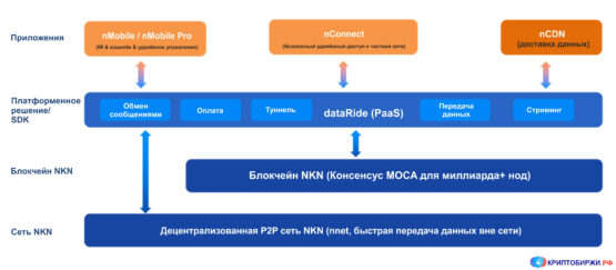 Из чего состоит платформа NKN