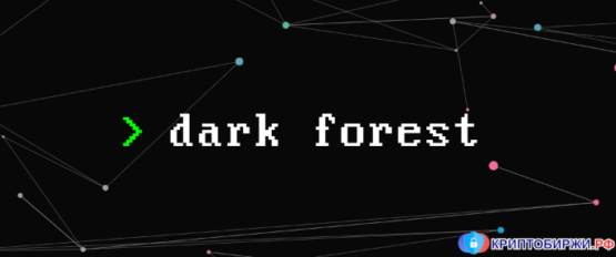 Стартап Dark Forest
