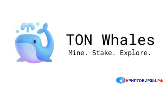 ton whales как майнить TON 