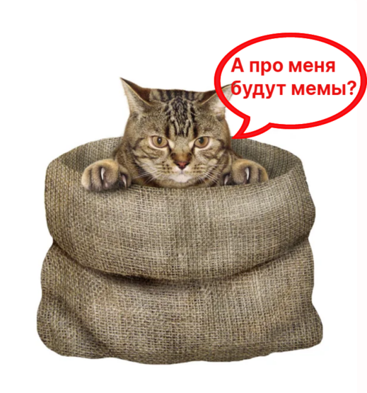 Криптокотик из фразы "кот в мешке" хочет, чтоб про него создали мем и мем-коин